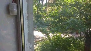 Тест охранно-пожарной сигнализации на базе Кварц вариант 2