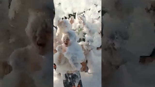 Пенная Пушка высокого качества AIRFOAM.