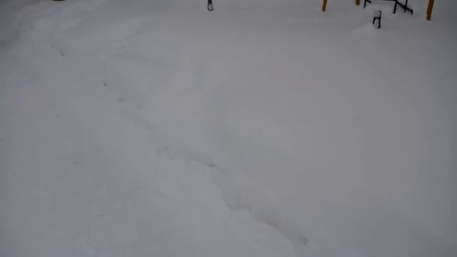 САРАТОВ ЗАМЕТАЕТ. 22 ЯНВАРЯ смотреть онлайн