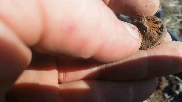 Прогулки с прибором тх 850. Поля Беларуси. смотреть онлайн