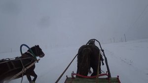 Лошади /Деревня / Ностальгия / Зима / Сани/Кайф