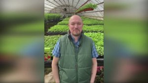 Земляника садовая Прямые эфиры в Инстаграм