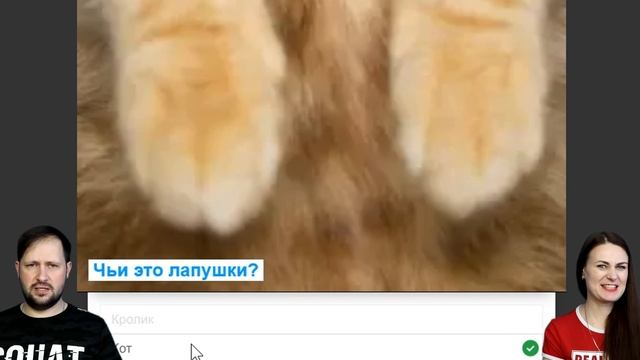 Опять лапки? Побег в игре на двоих Огонь и Вода 1 - В лесном храме часть 4 смотреть онлайн