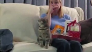 Если напугать кошку)))