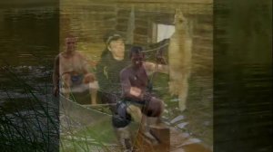 Эльдар долгатов Дай мне свою ласку