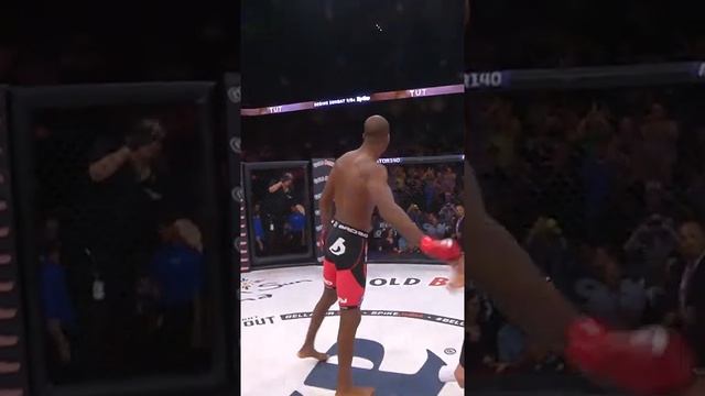 Жесткий боец в ММА