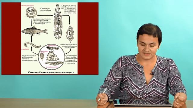 Зоология беспозвоночных. Трематоды (Часть 2) смотреть онлайн