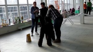 IMGA0283 беби, щенки, юниоры