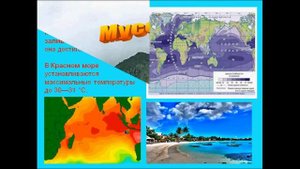 Индийский океан. География 6 класс.
