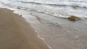 Пляж на Волге. Самара. Сентябрь | Volga beach of Samara in September