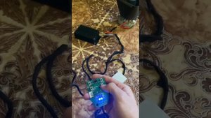 обзор сгу элина