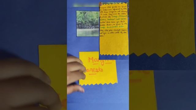 Interdisciplinary Project on Forest, Society and Colonialism and Natural Vegetation and wildlife. смотреть онлайн