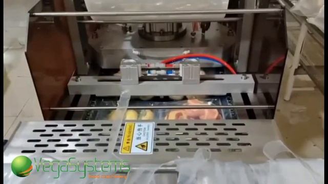 Мини-линия для вакуумирования продуктов питания (термоформер) Vega Vac Termoformer H 460