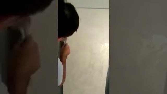 Фактурная штукатурка (шелкография) часть 2