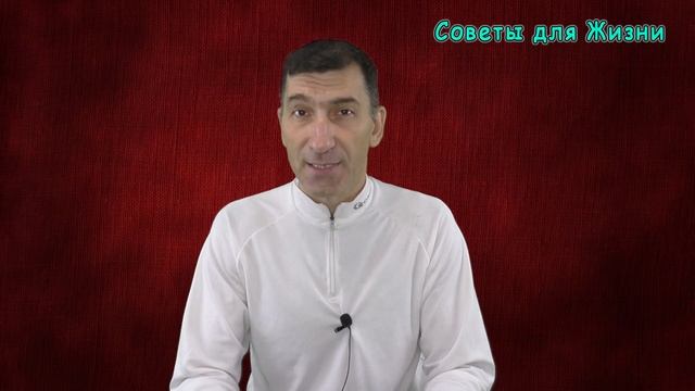 Проростки Семян Подсолнуха Творят Такое … | Полезные Советы для Жизни