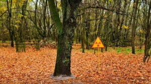 Сталкер топ релакс фм  музыка  Подпишись не пропускай новинки #stalker  #релакс