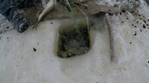 Браконьеры ловят рыбу зимой