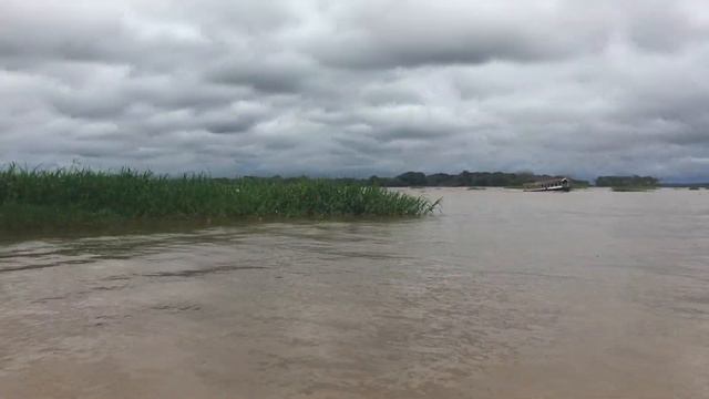 Перу.Город Икитос.Амазонка.Приток Река Нанай.Эколодж.2017 14 смотреть онлайн