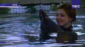 Наталья Поклонская с дельфинами