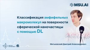 Классификация амфифильных макромолекул на поверхности сферической наночастицы с помощью DL