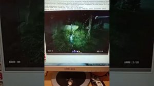 прохождение игры сиреноголовый звуки отчаяния