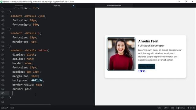 Day Night Mode Using Only HTML & CSS | Custom Checkbox Toggle Button