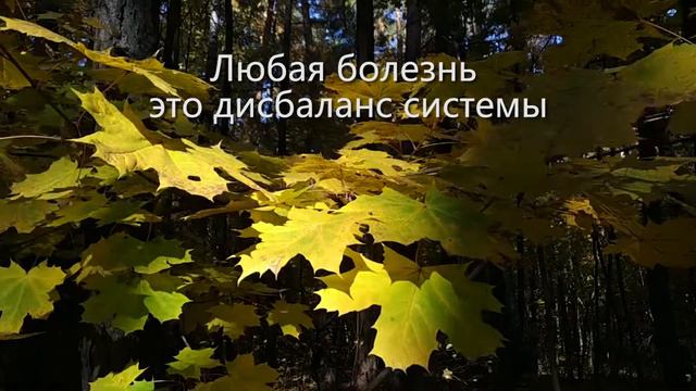 Руслан. Про здоровье. Человек - это гармоничная система #здоровье #психосоматика #баланссистемы