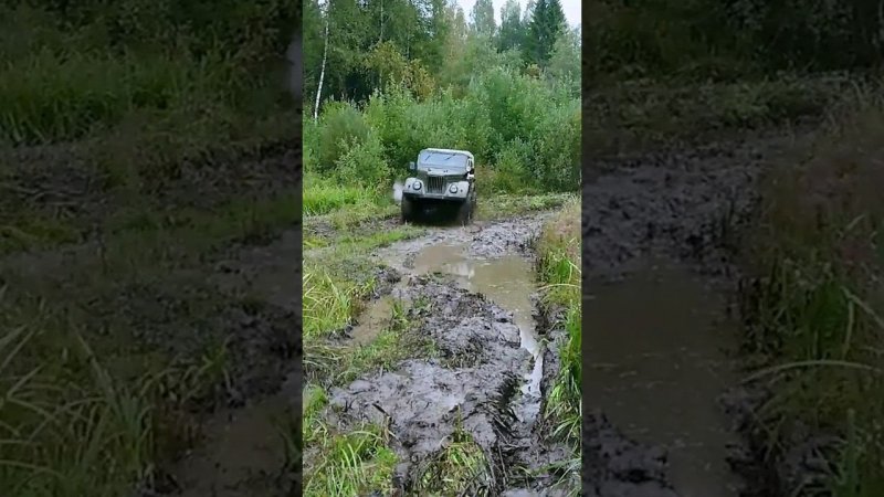 Посадили газика