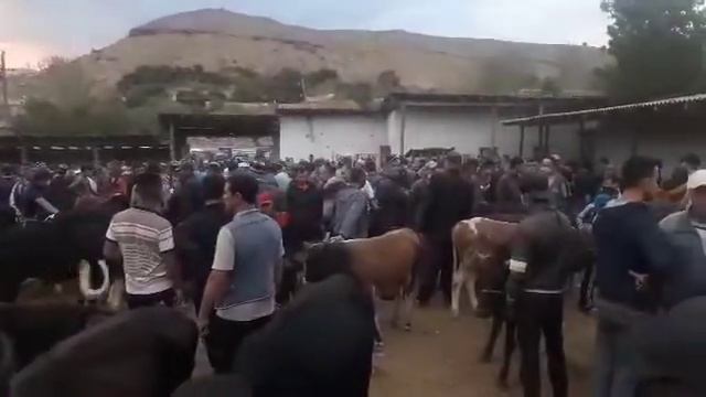 Молбозор Панчакент Таджикистан 2021