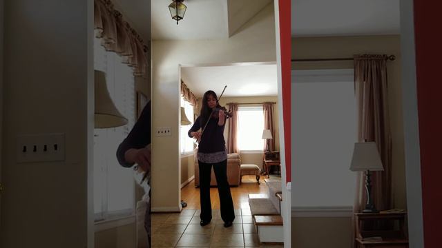 Partita #3 in E-major. Johann Sebastian Bach. Movement 2-Loure.