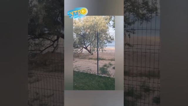 Утро 23.08.22 с видом на море ?