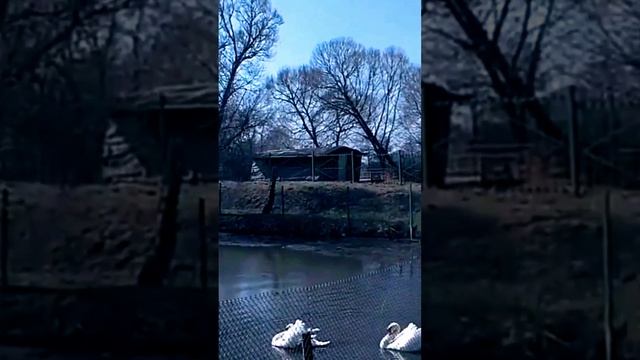 Video.Guru_20230624_085615930~2.mp4 смотреть онлайн