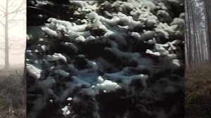 РУКОВОДИТЕЛЬ БРОСИЛ В ГОРАХ! Алтай 1978