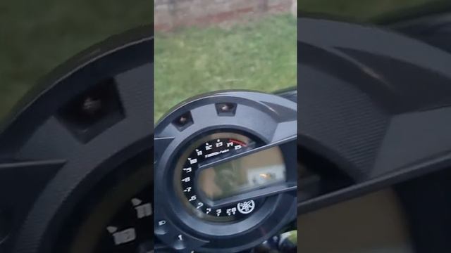 yamaha fz6 600cc 2004. смотреть онлайн