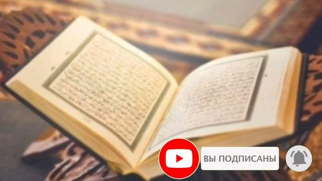 Единственный случай когда можно выщипывать брови смотреть онлайн