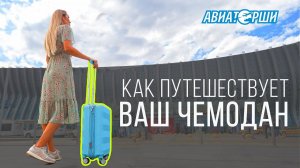 Как путешествует ваш багаж | Аэропорт Симферополь