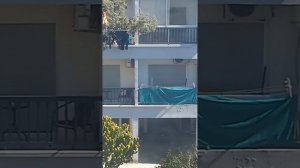 Трава у дома, клип на песню