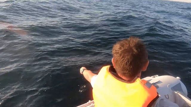 Лодка ПВХ Штормлайн(Stormline) 430 НДНД испытания в море.Ловля огромной ставриды на самодур. смотреть онлайн