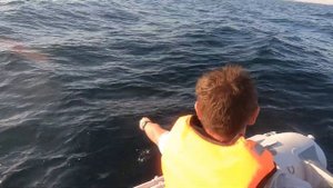 Лодка ПВХ Штормлайн(Stormline) 430 НДНД испытания в море.Ловля огромной ставриды на самодур.