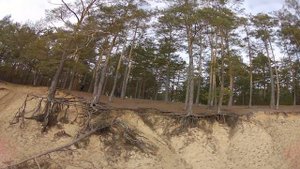 Корекозево, локация #2, пляж