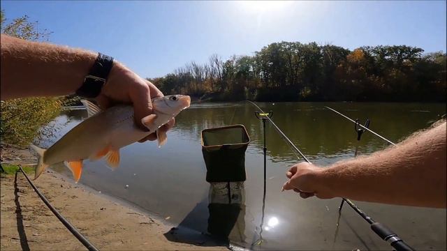 Фидер осенью на речке. А клюет ли рыба? смотреть онлайн