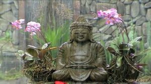 Чудеса Света - Остров Бали : Индонезия