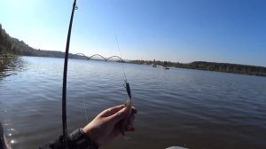 Проводки ультралайт приманок Strike Pro Shrimp 50 и Lipstick 45