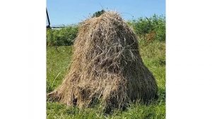 Как заготавливали сено полвека назад?