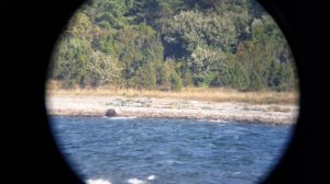 Panga. Estonia. Through a Telescope Levenhuk SkyMatic 105 GT MAK. p2