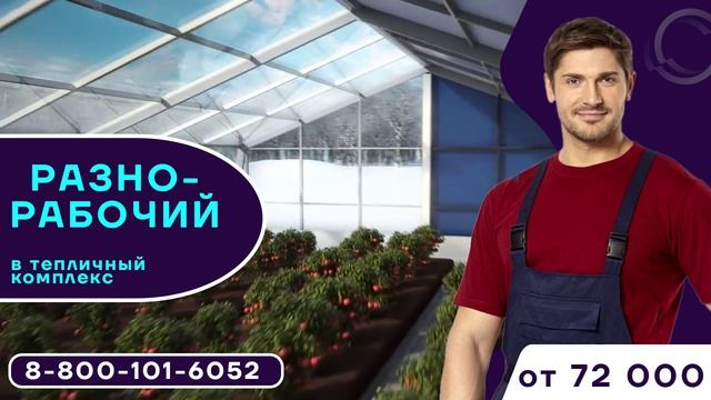 Работа Вакансия Разнорабочий в тепличный комплекс