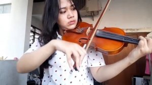 Skip To My Lou Violin Cover