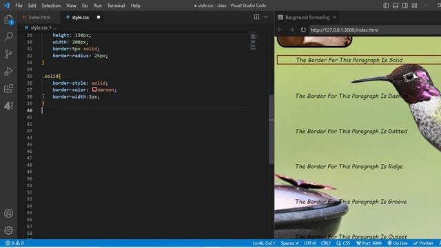 Start Learning CSS Now-Learn Image Properties & Border Properties in CSS|CSS tutorial for beginners