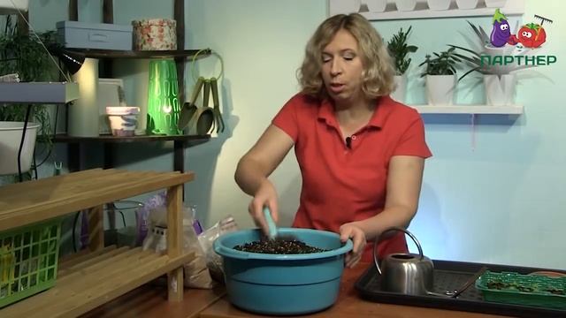 СЕКРЕТ УСПЕШНОГО ИСПОЛЬЗОВАНИЯ ТОРФЯНЫХ ТАБЛЕТОК (на примере рассады ЭУСТОМЫ)