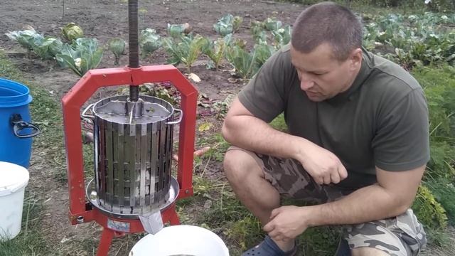 Способ получения виноградного сусла по белой схеме для вина (часть 3)